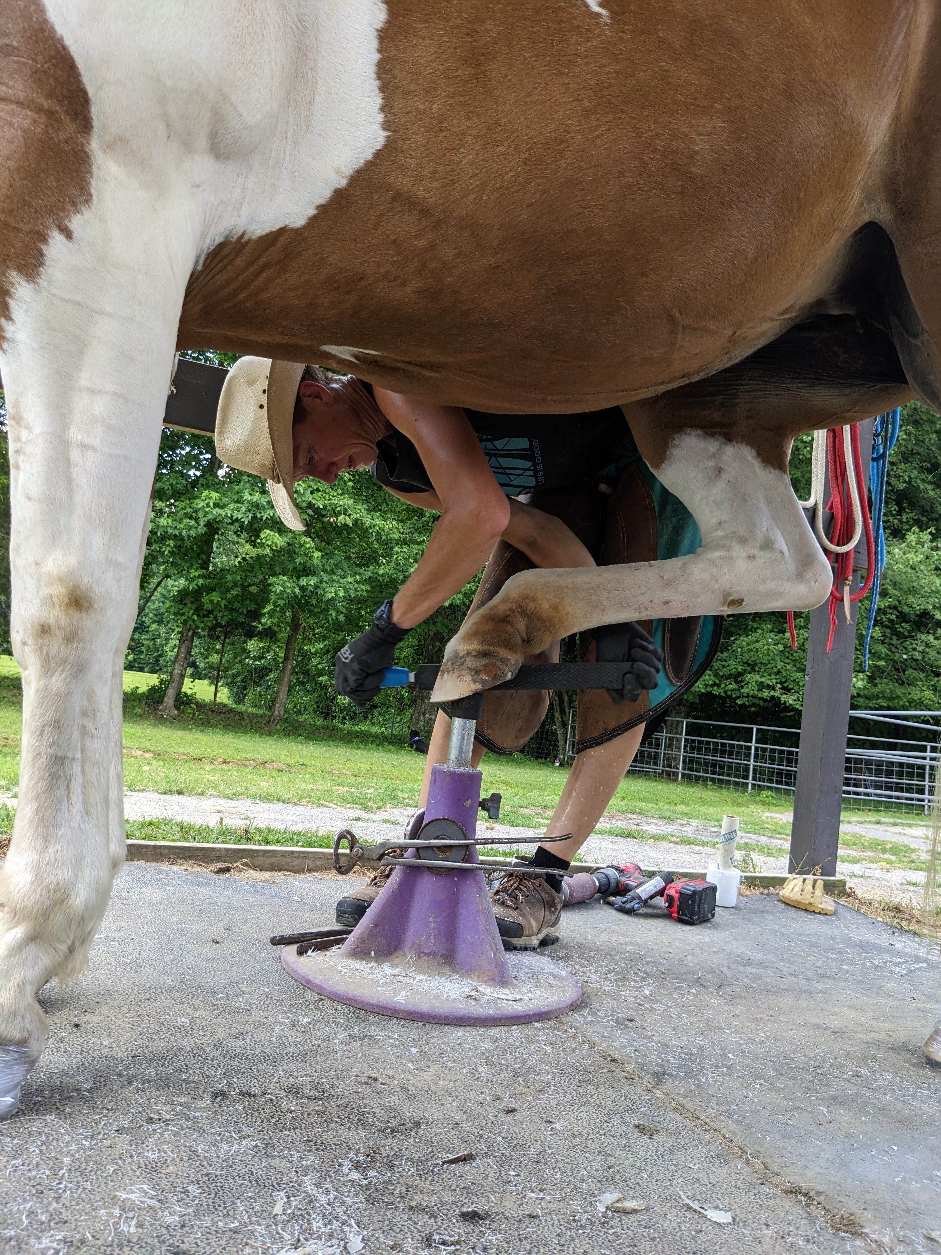 pxl_20240704_160800275_original