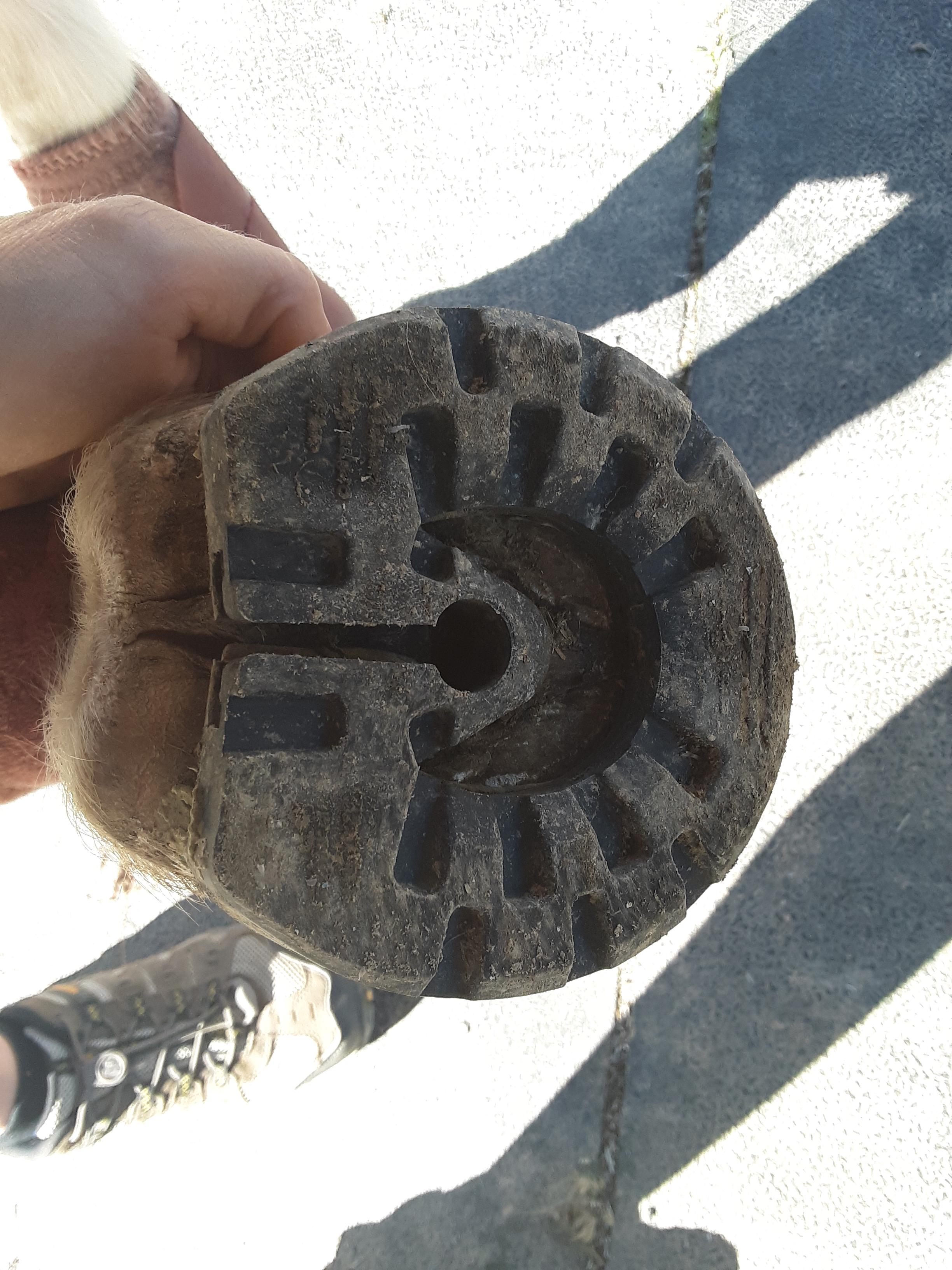 20191024_150255_Original