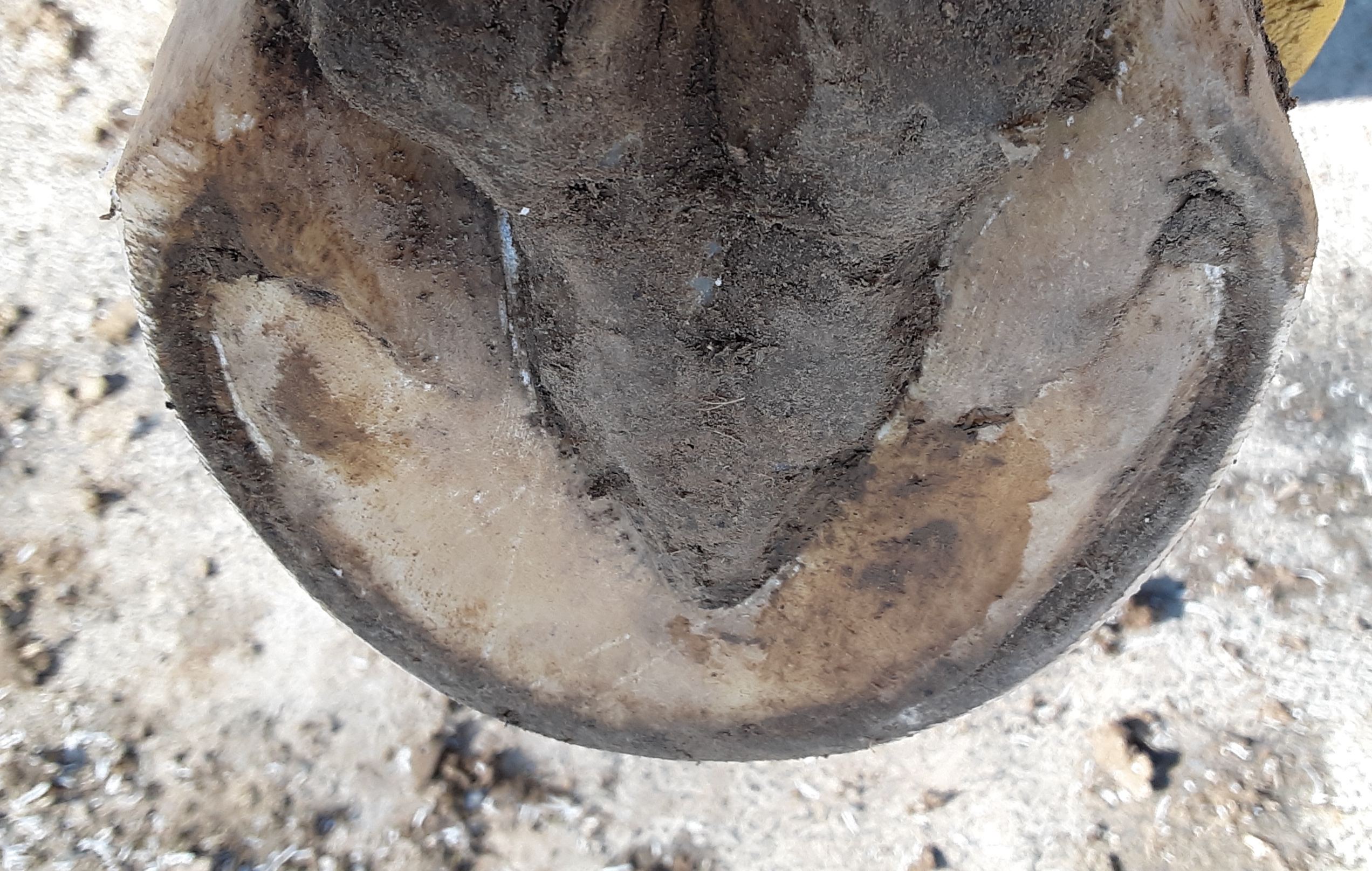 _storage_emulated_0_DCIM_Camera_20210125_105509