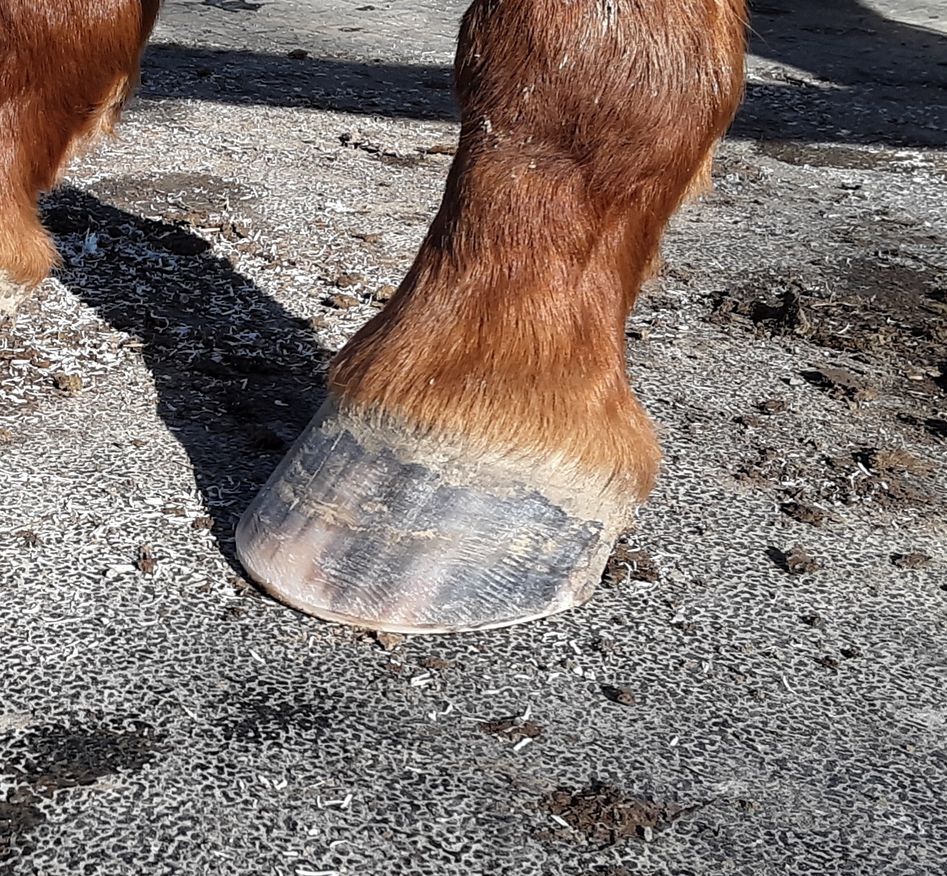 _storage_emulated_0_DCIM_Camera_20210125_105536