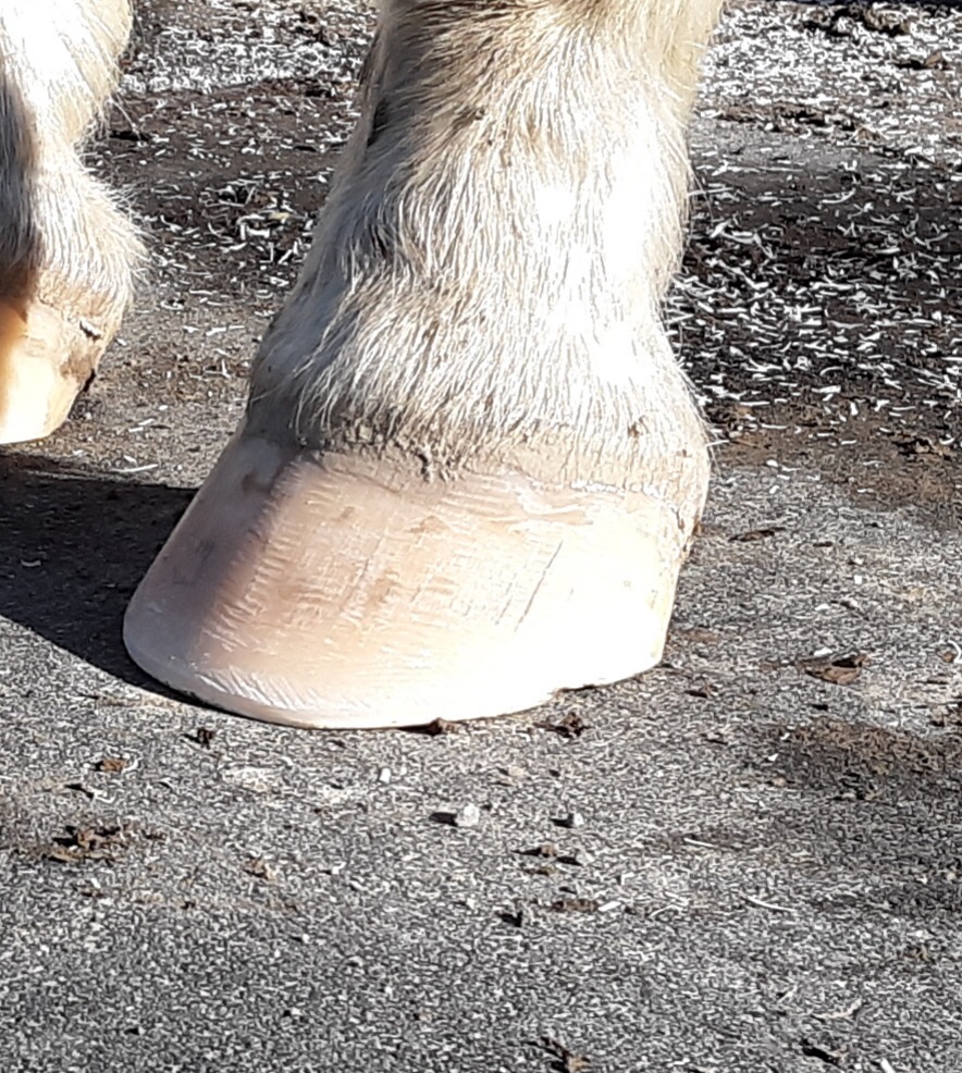 _storage_emulated_0_DCIM_Camera_20210125_105604