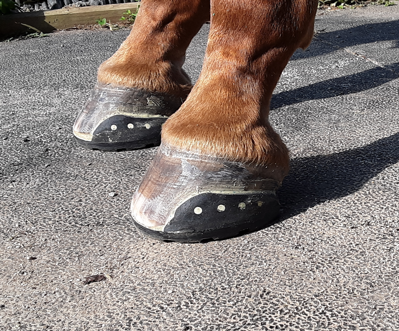 _storage_emulated_0_DCIM_Restored_20190905_161234